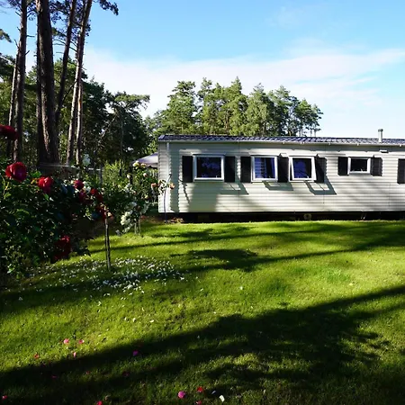 W Lesie Дом отдыха Дзивнув